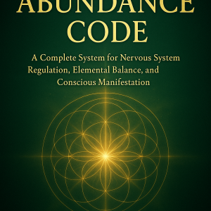 The Abundance Code (epub)