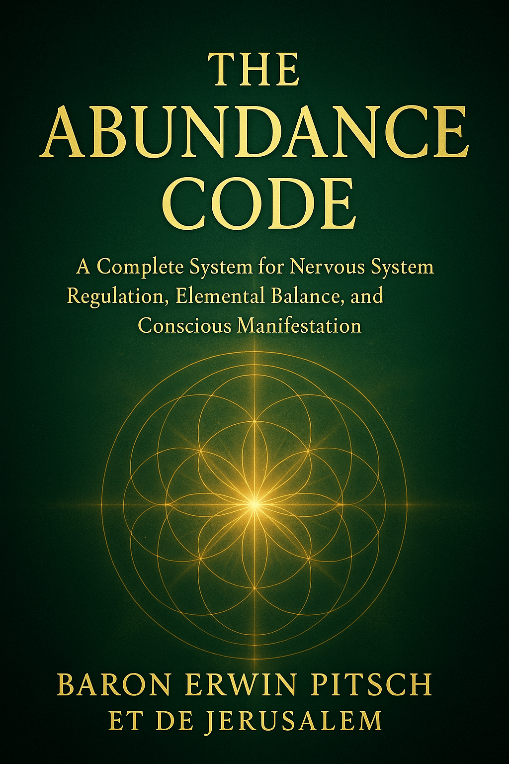 The Abundance Code (epub)